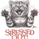 Transferring to different servers headache