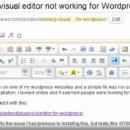 WYSIWYG visual editor not working for WordPress?