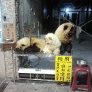 The strange things you see in Taiwan