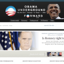 Project: United States political website