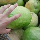 Food shopping in Taiwan (大買家)