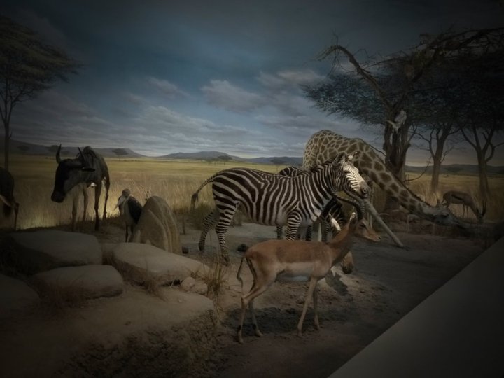 Life in Taiwan / My internet sites