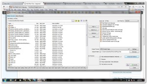 faststoneimageviewer2