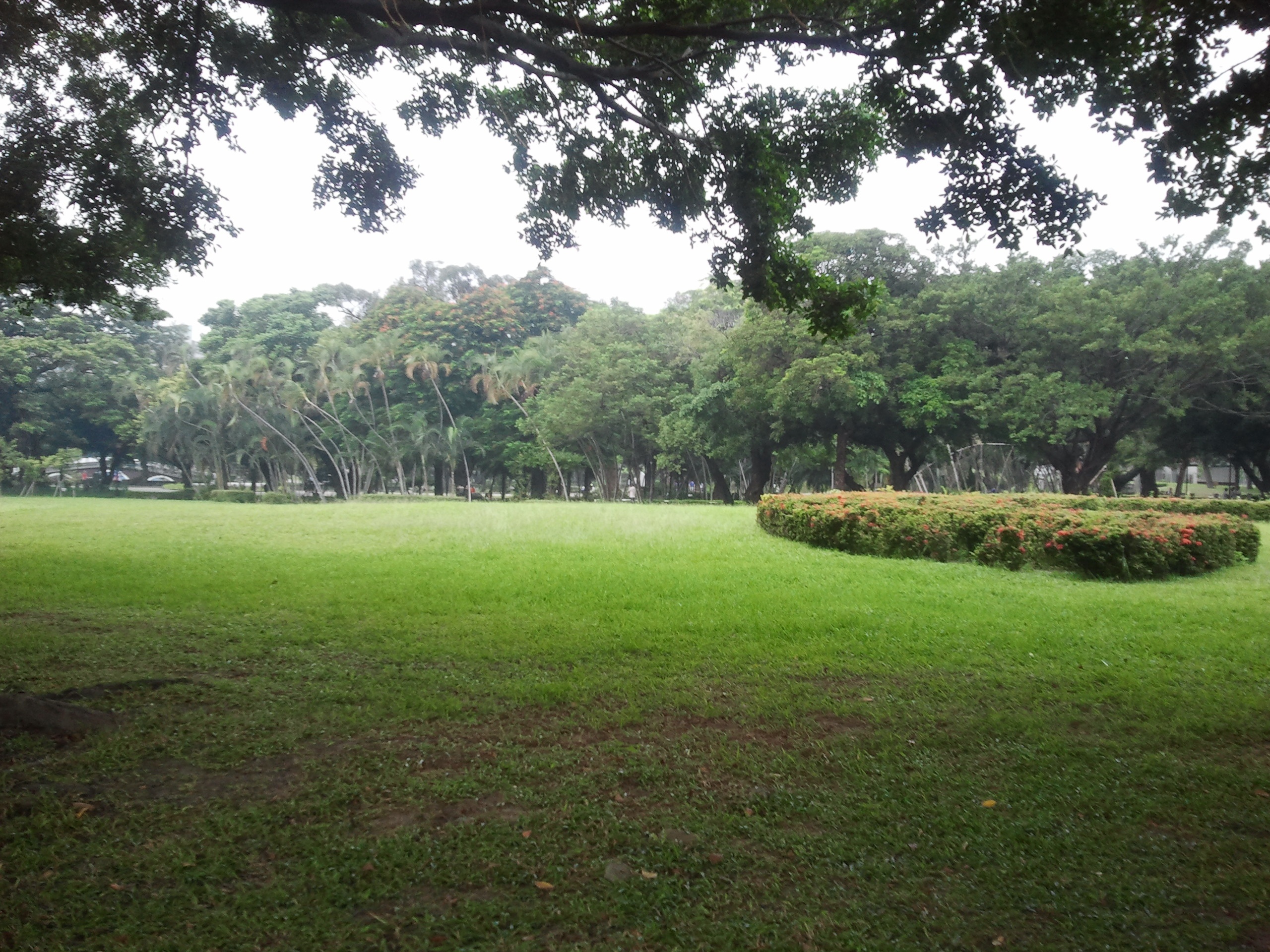 Taichung park and surrounding areas