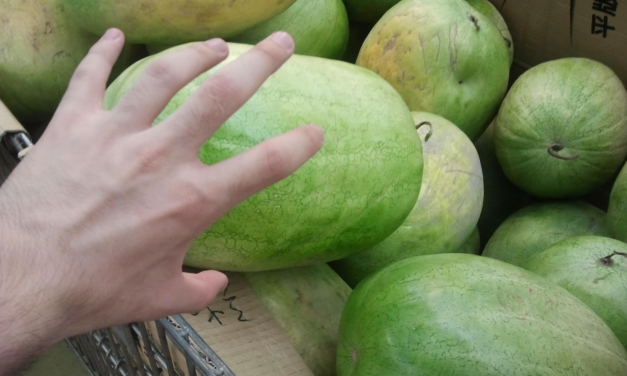 large watermelon aspect ratio human hand